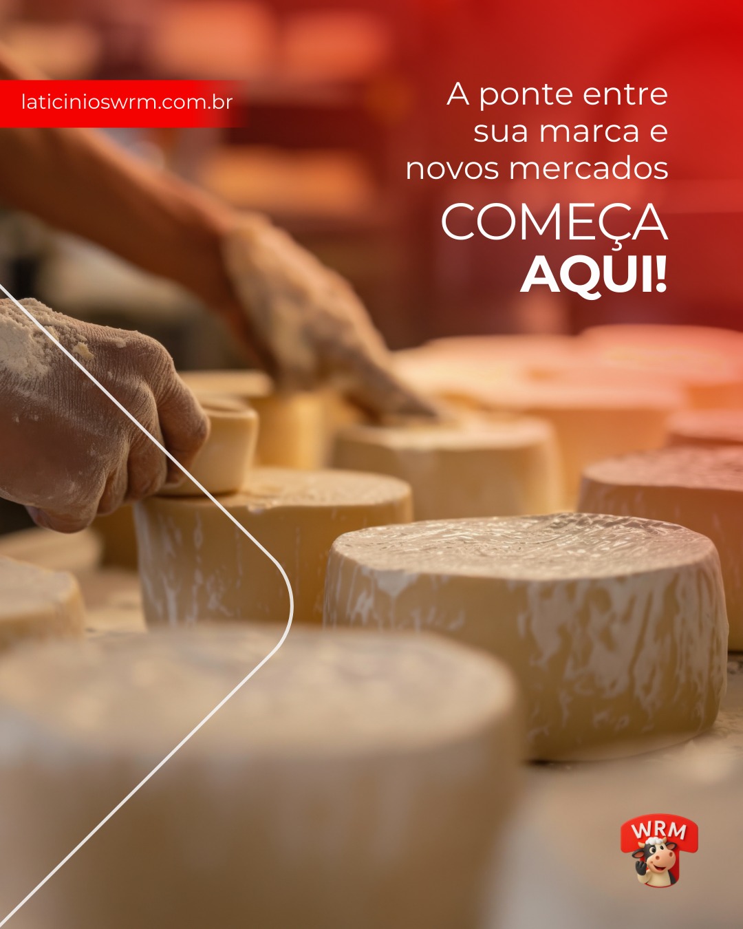 A ponte entre sua marca e novos mercados começa aqui!